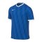 Nike Challenge VI Trikot Kids Blau F463 - blau