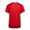 Nike Challenge VI Trikot Kids Rot F658 - rot