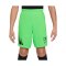 Nike CR7 Academy Short Kids Grün F398 - gruen