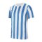 Nike Division IV Trikot kurzarm Kids Weiss F103 - weiss