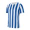 Nike Division IV Striped Trikot kurzarm Weiss F102 - weiss