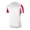 Nike Division IV Striped Trikot kurzarm Weiss F104 - weiss