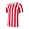 Nike Division IV Striped Trikot kurzarm Weiss F104 - weiss