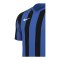 Nike Division V Striped Trikot Blau F463 - blau