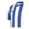 Nike Division V Striped Trikot Kids Weiss F101 - weiss