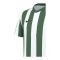Nike Division V Striped Trikot Kids Weiss F103 - weiss