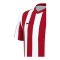 Nike Division V Striped Trikot Kids Weiss F104 - weiss