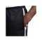 Nike Dri-Fit DNA 6IN Basketball Shorts F010 - schwarz