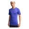 Nike Dri-Fit fitness Tight T-Shirt Lila F510 - lila