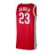 Nike Dri-Fit Ohia State College Tanktop Rot F657 - rot