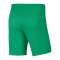 Nike Dri-FIT Park 3 Knit Soccer Short Grün F324 - gruen