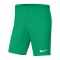 Nike Dri-FIT Park 3 Knit Soccer Short Grün F324 - gruen
