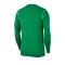 Nike Park 20 Sweatshirt Kids Grün F302 - gruen