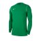Nike Park 20 Sweatshirt Kids Grün F302 - gruen