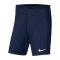 Nike Park III Short Blau F410 - blau