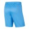 Nike Park III Short Blau F412 - blau