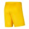Nike Park III Short Gelb F719 - gelb
