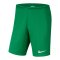 Nike Park III Short Grün F302 - gruen