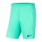 Nike Park III Short Grün F354 - gruen