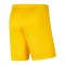 Nike Park III Short Kids Gelb F719 - gelb