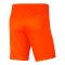 Nike Park III Short Orange F819 - orange