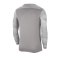 Nike Park IV TW-Trikot langarm Grau F052 - grau