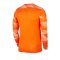 Nike Park IV TW-Trikot langarm Orange F819 - orange