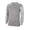 Nike Park IV TW-Trikot langarm Kids Grau F052 - grau