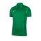 Nike Park 20 Poloshirt Grün F302 - gruen