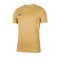 Nike Park VII Trikot Kids kurzarm Gold F729 - gold