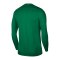 Nike Park VII Trikot langarm Grün F302 - gruen
