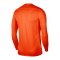 Nike Park VII Trikot langarm Kids F819 - orange