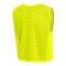 Nike Dri-Fit Training 26 BIB Grün F702 - gruen