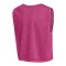 Nike Dri-Fit Training 26 BIB Rosa F616 - rosa