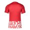 Nike Dry NE GX1 Trikot Rot Weiss F657 - rot