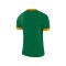 Nike Park Derby II Trikot Grün Gold F302 - gruen