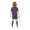 Nike England Minikit Away EM 2024 Lila F573 - lila