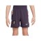 Nike England Minikit Away EM 2024 Lila F573 - lila