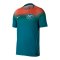 Nike FA Australien Trikot Away WM 2026 Grün F367 - gruen