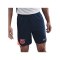 Nike FC Barcelona Strike Short Blau F410 - blau