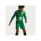 Nike FC Barcelona Torwartshort 2026/2027 Kids Grün F324 - gruen