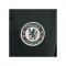 Nike FC Chelsea London Trainingshose Kids Grün F347 - gruen