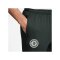 Nike FC Chelsea London Trainingshose Grün F349 - gruen