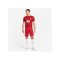 Nike FC Liverpool Short Home 2023/2024 Rot F687 - rot