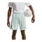 Nike FFF Frankreich Short Away WM 2026 Grün F394 - gruen