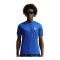 Nike FFF Frankreich Trainingsshirt Blau F480 - blau