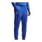 Nike FFF Frankreich Trainingshose Blau F480 - blau