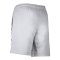 Nike Strike 24 Express Short Grau F012 - grau
