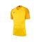 Nike Gardien II Torwarttrikot kurzarm Gelb F719 - gelb