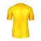 Nike Gardien IV Torwarttrikot Gelb F719 - gelb